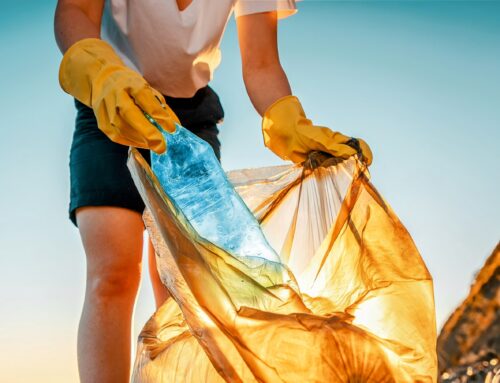 World Environment Day 2025: Plastic pollution is choking our planet