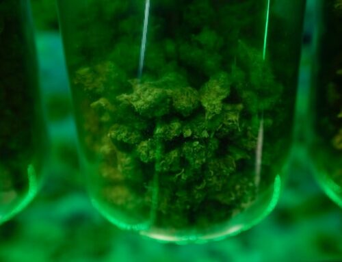 Equity in the cannabis industry cannot truly begin until we free those still incarcerated