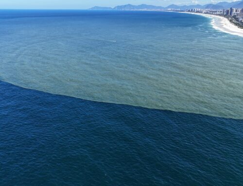 Latin America’s development bank CAF doubles investment target for marine ecosystems