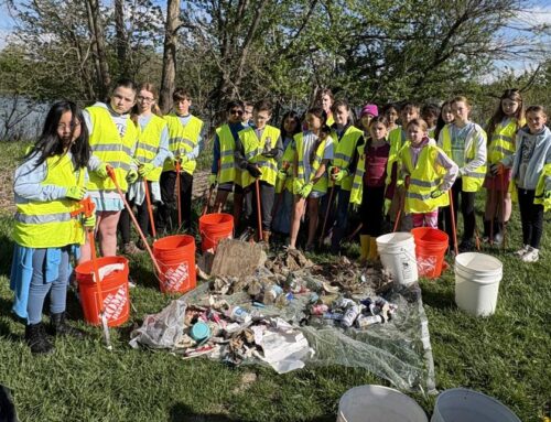 Hull Prairie Intermediate earns national Green Flag Award for environmental action