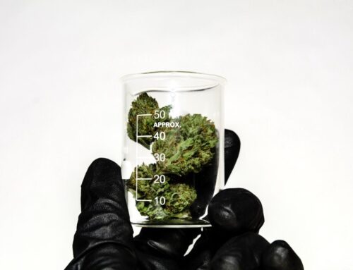 Public Comment Open for Updated Cannabis Pesticide Testing Regulations in California