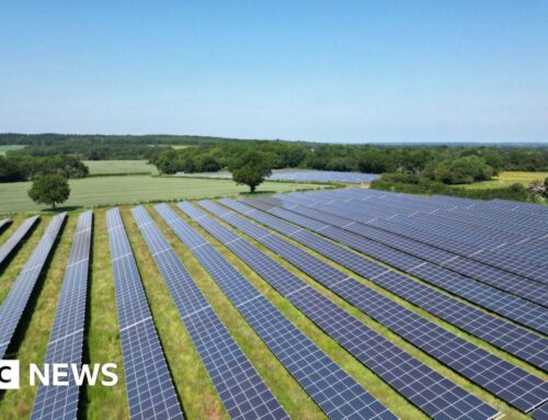 Public share offer set to launch at Shropshire solar farm