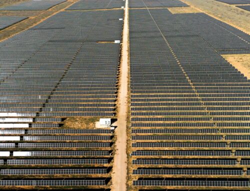 Solar group OCI doubles down on US despite Donald Trump’s war on clean energy