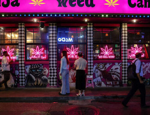 Thailand moves to recriminalize cannabis, disrupting $1 billion marijuana industry