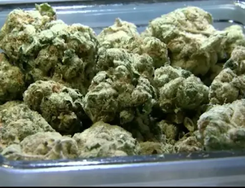 NY’s Office of Cannabis Management recalls multiple marijuana products