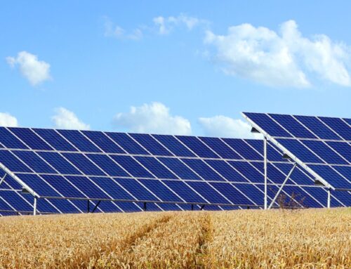 Trump Administration Cancels $2.92 Billion Loan Awarded to Solar Firm Sunnova