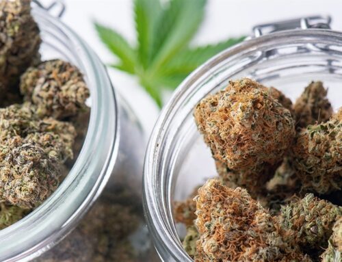 Michigan Cannabis Sales Fall, But Consumers Are Buying More at Dispensaries