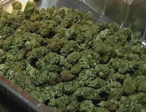 Minnesota Cannabis Tax going up