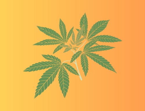 Kennesaw officials at odds over ‘decriminalizing’ cannabis