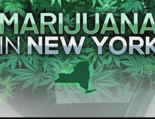Recall issued for cannabis products sold in New York