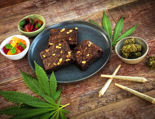 Des Moines cannabis consumers are active citizens, survey shows