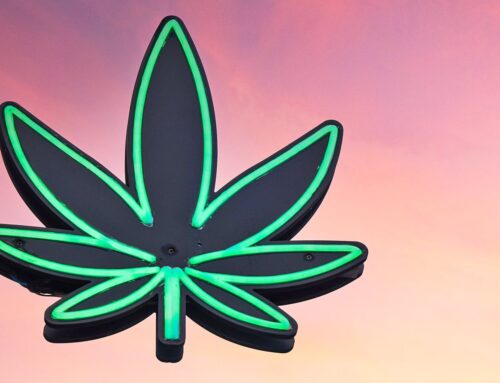 Cannabis use disorder may raise your psychiatric illness risk