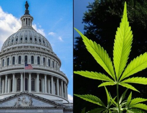 GOP-Led Congressional Panel Demands Investigation On Biden’s Marijuana Rescheduling Proces
