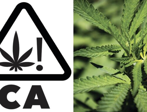 California Public Health Department Aims to Make Hemp THC Ban Permanent