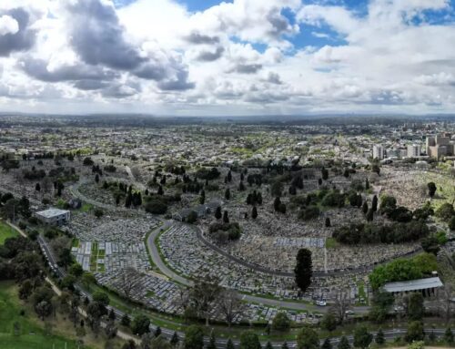 Cemeteries are running out of space, cremation damages the environment. But there are othe