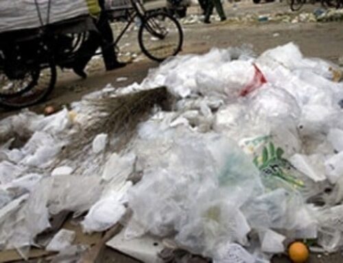 WWF warns of plastic perils in Pakistan