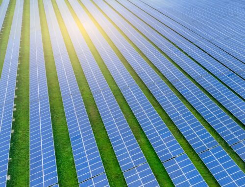 New report reveals surprising investment outlook in emerging energy sector: ‘A key driver’