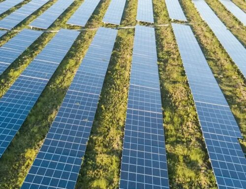 Mistral AI Works with TotalEnergies to Boost Renewables Tech