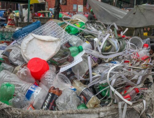 World Environment Day 2025: #BeatPlasticPollution