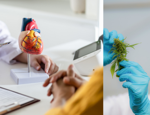 CNN: PHI’s Lynn Silver Discusses New Study Connecting Cannabis and Cardiovascular Diseases