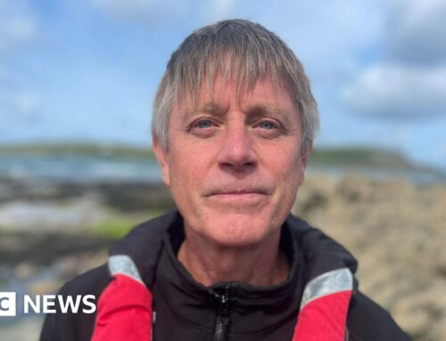 Scientists seek new ways to save mussel power in Cornwall