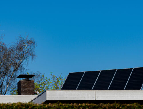 Energy expert simplifies the financial savings and benefits of installing solar: ‘That’s l