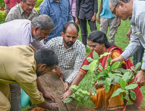 Bengaluru Environment: Greens Unite for Lake Revival, Afforestation Drives