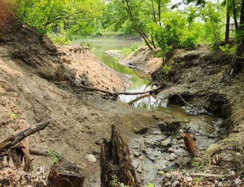 Three years on, Minnesota’s climate initiative spurring projects
