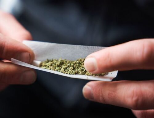 Marijuana use doubles risk of dying from heart disease, large study finds
