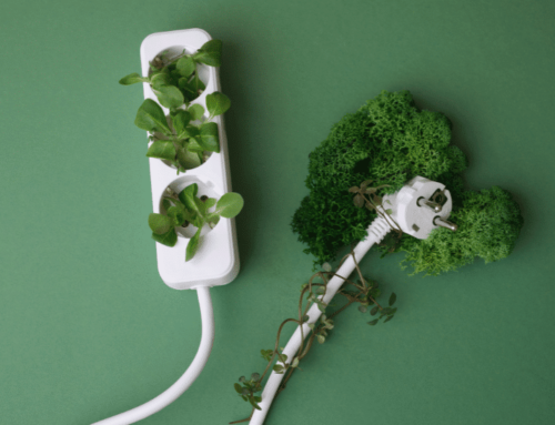 Why green energy independence is key to Europe’s innovation ecosystems