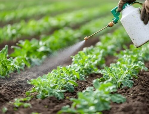 WI farmer education collab helps save money, environment