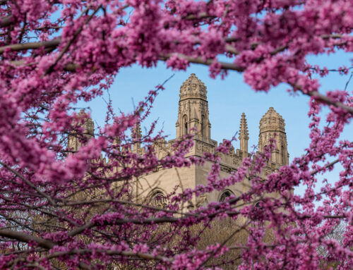 Two UChicago students receive Udall honors for environmental advocacy