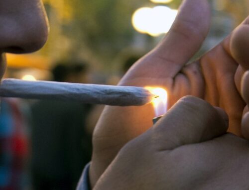 Dozens of cannabis businesses get green light to open following Minnesota lottery