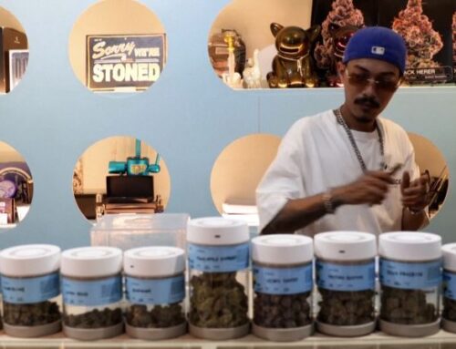 Why Thailand U-turned its cannabis policy