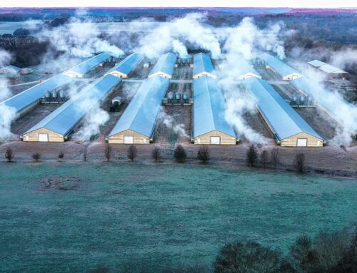 Revealed: The mega farms polluting the environment with excrement