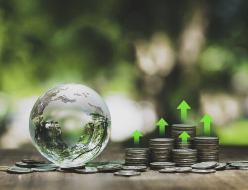 GIIN launches climate solutions investing framework