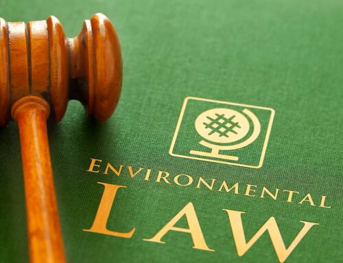 California rolls back its landmark environmental law