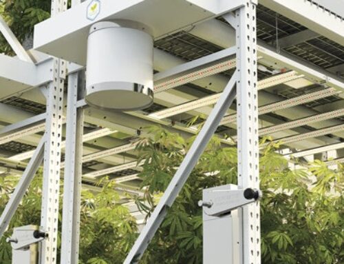Maximize Space and ROI: Choosing the Right Cannabis Racking and Benching