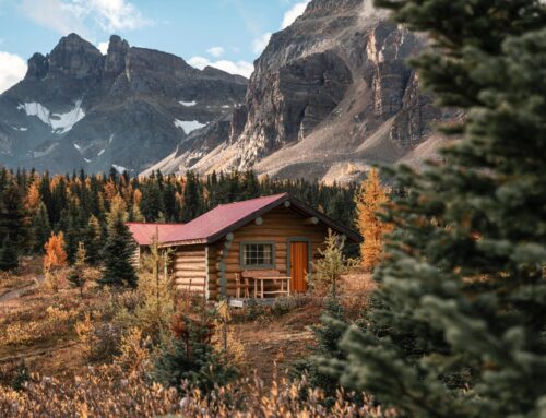 Airbnb: Investing For Long Term Growth (NASDAQ:ABNB)