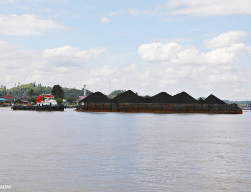 Indonesian utility PLN ‘kneecaps renewables’ with embrace of fossil fuels