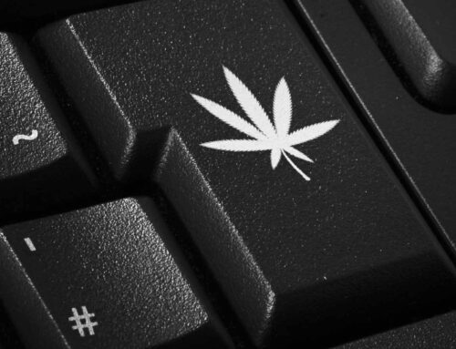 Culture Council: Innovating in the Shadows of Big Tech: How Cannabis Companies Are Buildin