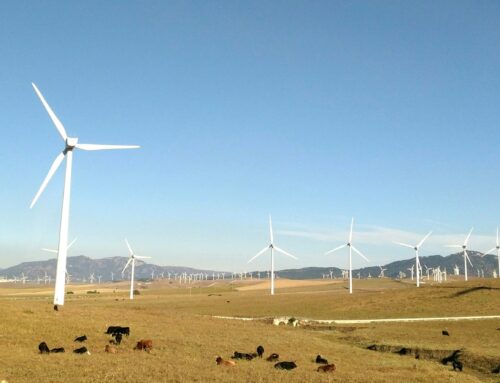 Renewable energy: The key to strengthening U.S. energy security
