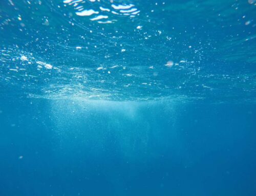 Protecting Gaza’s Marine Environment in Armed Conflict: Shared or Exclusive International