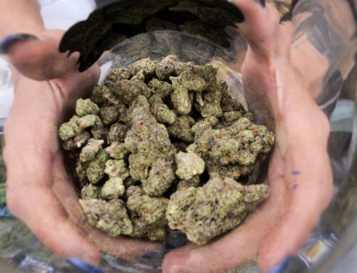 State awards first round of CAURD grants to New York cannabis licensees