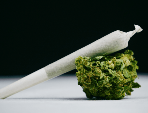 Debunking Cannabis Potency Myths
