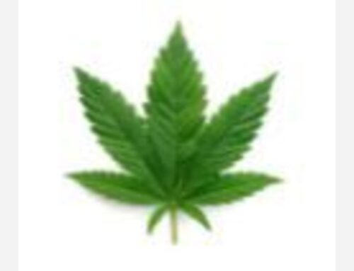Rep. Soter Pushes Cannabis Reforms