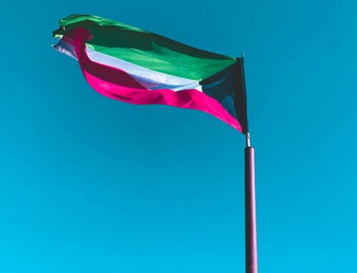 Kuwait reveals prequalified bidders for 1.1 GW solar project