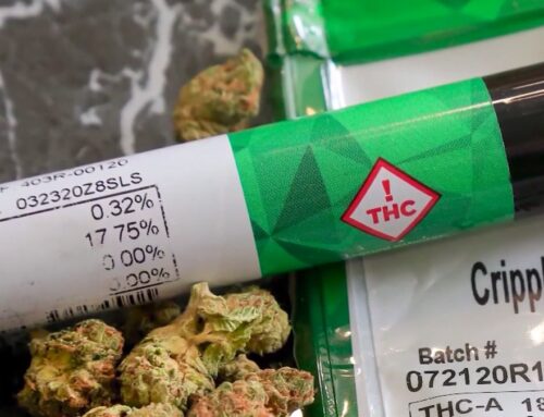 Hemp businesses on edge pending governor ban decision