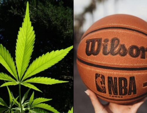Sports Fans Welcome Cannabis Brand Sponsorships For Teams In Professional Leagues Like NFL
