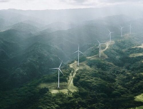 Why Xela Energy? Clean Energy Capital’s Sustainable Rebrand